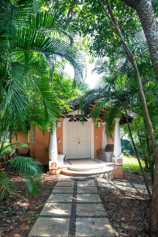 Wildflower Villas Candolim Esterno foto