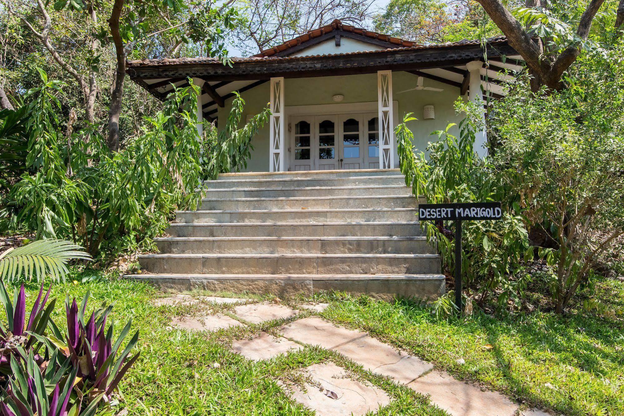 Wildflower Villas Candolim Esterno foto